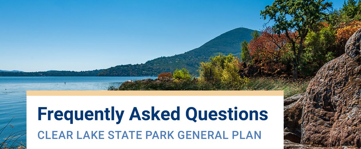 Frequently Asked Questions Banner